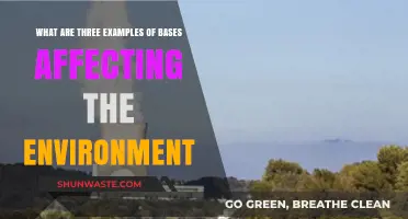 Environmental Impact: How Bases Disrupt Ecosystems and Pollute Habitats