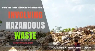Empowering Communities: Grassroots Action Against Hazardous Waste