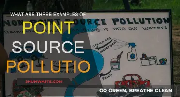 Point-Source Pollution: Three Examples and Their Impact
