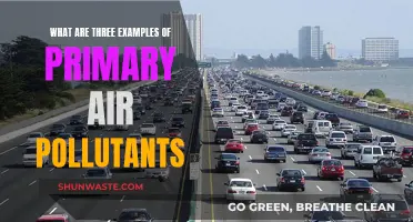 Air Pollutants: Primary Examples and Their Sources