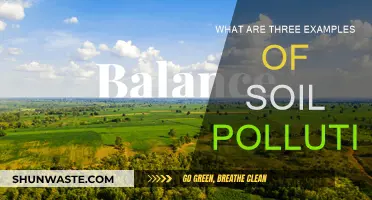 Soil Pollution: Three Examples and Their Impact