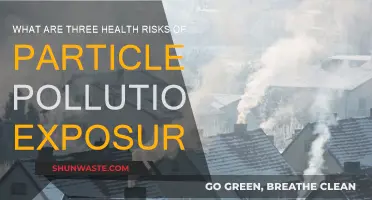 Particle Pollution: 3 Health Risks to Know