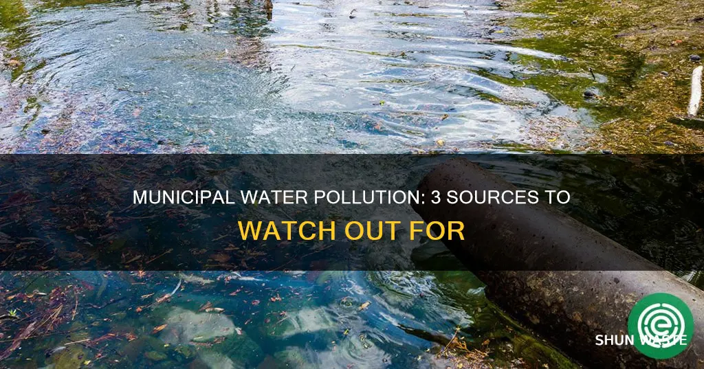 what are three municipal sources of water pollution