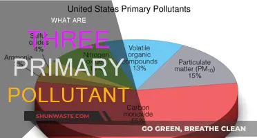 Primary Pollutants: Understanding the Big Three