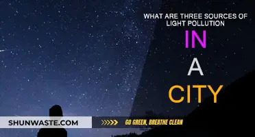 Light Pollution: City Sources and Solutions