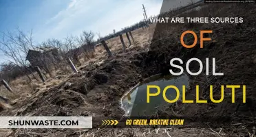 Soil Pollution: Three Main Contaminants