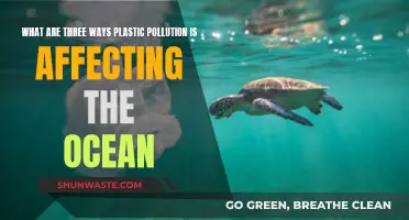 Ocean's Plastic Pollution: 3 Devastating Impacts