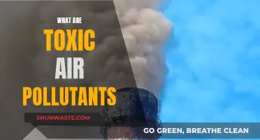Air Toxics: Understanding Hazardous Pollutants