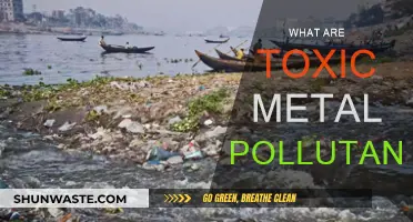 Toxic Metal Pollutants: Understanding Their Harmful Effects