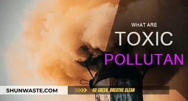 Toxic Pollutants: Understanding the Poisonous Impact