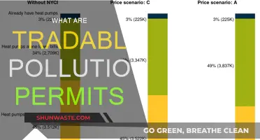 How Tradable Pollution Permits Help Reduce Emissions