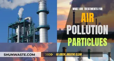 Breathing Easy: Fighting Air Pollution with Treatment Solutions