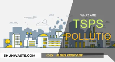 Understanding the Impact of TSPs on Our Environment