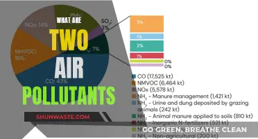 Air Pollutants: Two Major Threats to Our Environment