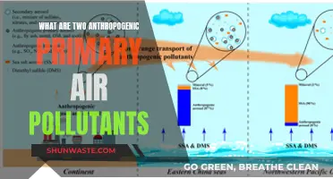 Air Pollutants: Human-Caused Primary Pollutants and Their Harmful Effects
