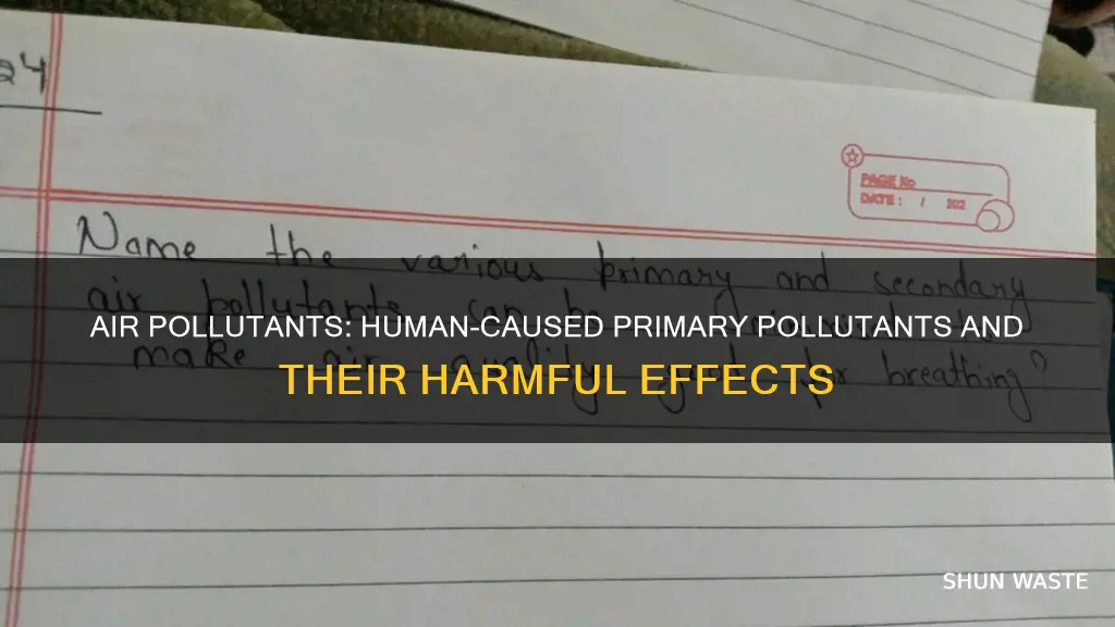 what are two anthropogenic primary air pollutants