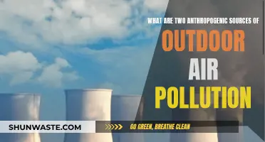 Outdoor Air Pollution: Human-Caused Sources and Effects
