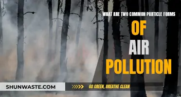 Air Pollution: Two Particle Forms, Big Impact