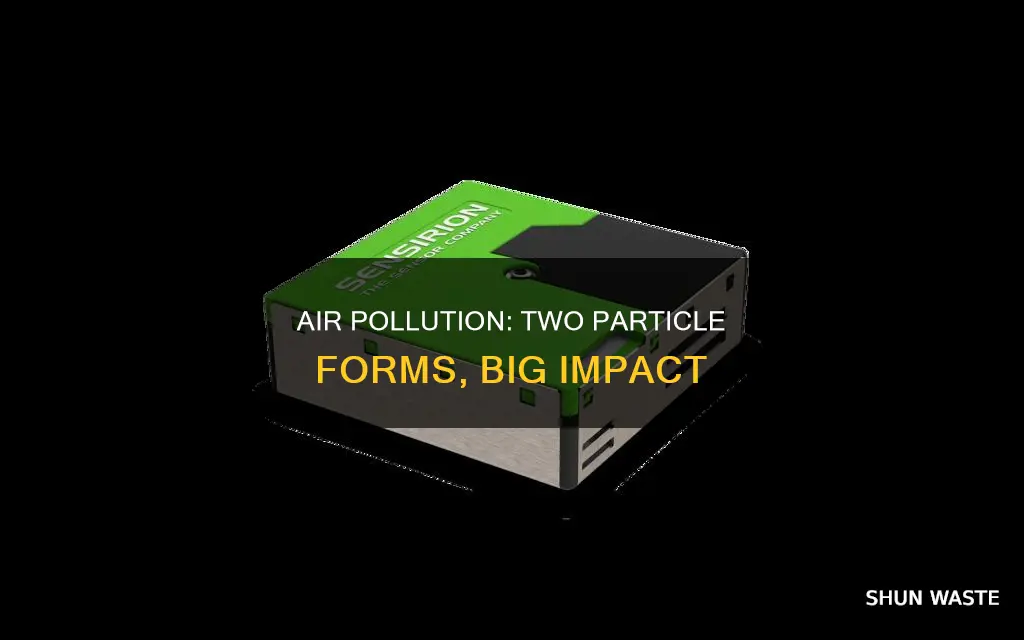 what are two common particle forms of air pollution