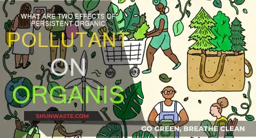 Organic Pollutants: Harmful Effects on Organisms