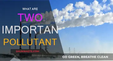 Air and Water Pollutants: Understanding Their Impact