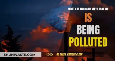 Air Pollution: Two Main Ways We're Hurting Our Planet