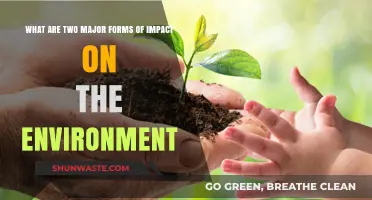 Environmental Impact: Exploring Human Activity and Climate Change Effects