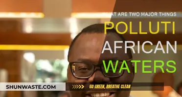 African Waters: Plastics and Oil Pollute