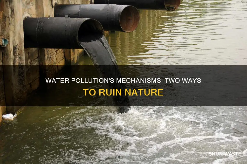 what are two mechanisms for water pollution