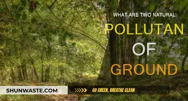 Natural Groundwater Pollutants: Two Key Sources