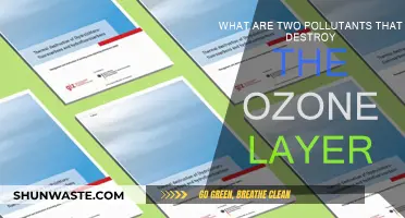 The Ozone Layer: Under Attack by These Two Pollutants
