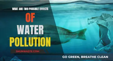 Water's Dark Side: Two Devastating Impacts of Pollution