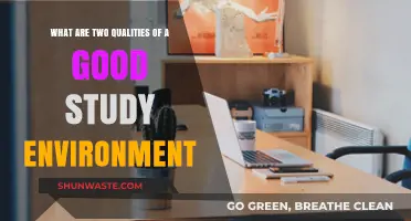 Creating the Ideal Study Space: Key Qualities for Focus and Productivity