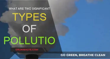 Major Pollution Types: Understanding the Key Differences