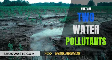 Unveiling the Hidden Dangers: Two Common Water Pollutants