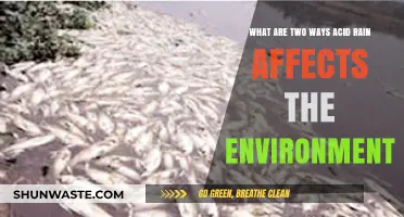 Acid Rain's Impact: Two Key Ways It Harms Our Environment