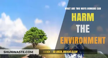 Human Impact: Two Major Ways We Harm Our Environment