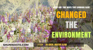Human Impact: Two Major Ways We've Transformed Our Environment