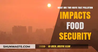 Pollution's Impact on Food Security: A Double Threat