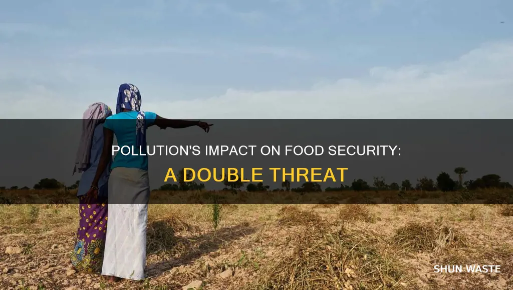 what are two ways that pollution impacts food security