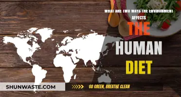 How Environmental Factors Shape Our Dietary Choices and Health