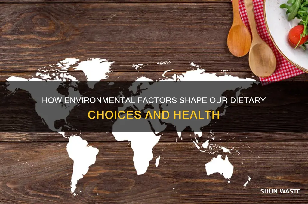 what are two ways the environment affects the human diet