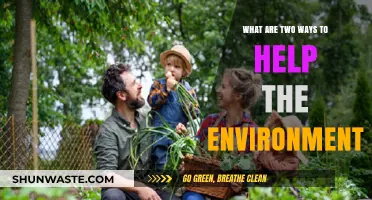 Sustainable Living: Two Simple Strategies to Protect Our Planet