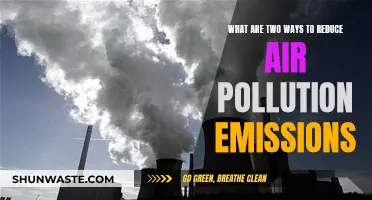 Strategies to Reduce Air Pollution Emissions