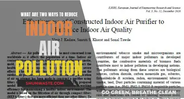 Strategies to Reduce Indoor Air Pollution and Breathe Easier