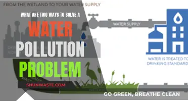 Innovative Solutions: Two Approaches to Tackle Water Pollution