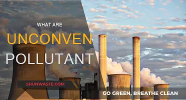 Unseen Pollutants: Unconventional Contaminants and Their Impact
