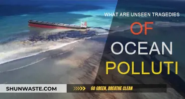 The Ocean's Silent Tragedy: Unseen Pollution