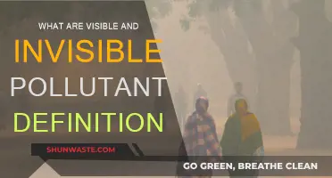 Air Pollutants: The Visible and Invisible Threats