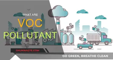 VOC Pollutants: Understanding Their Impact and Sources